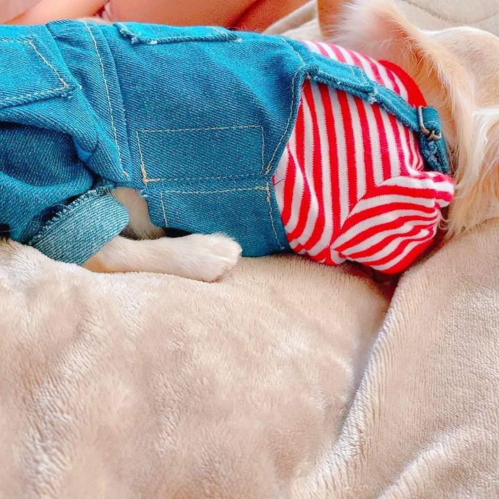 67c4eb35 6525 40b4 b729 a599390d82c0 1627971726232