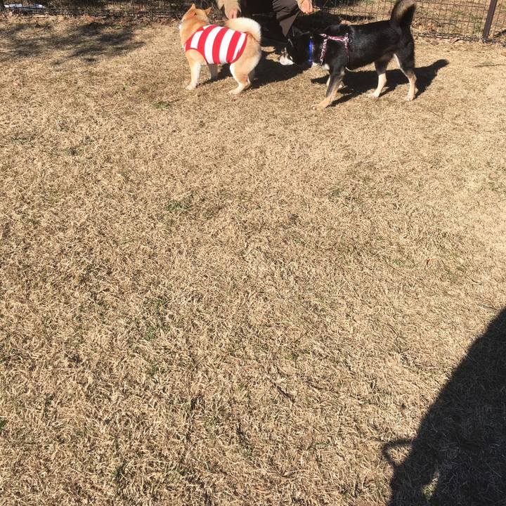 67c4f4f6 ca46 4012 83fd 4e09ad5d5524 1548570809661