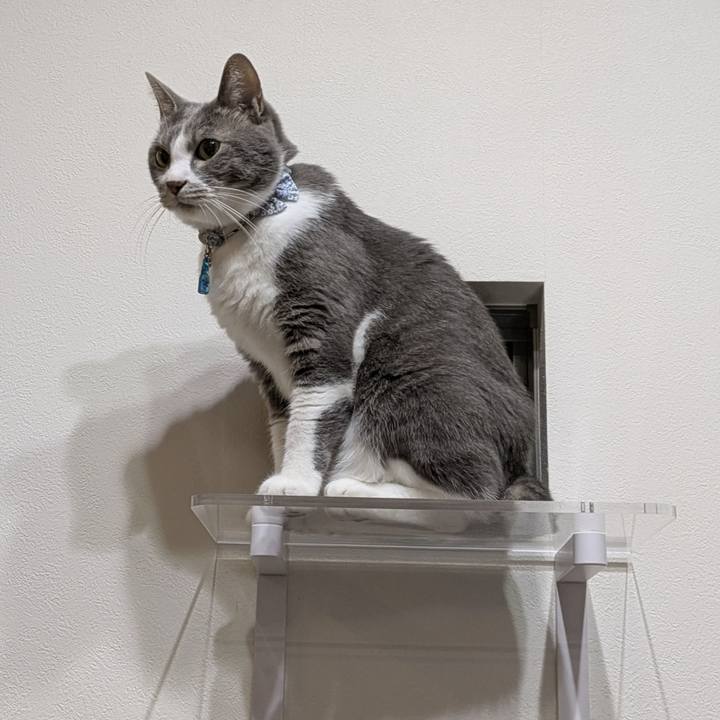 67c53247 3243 4f3e 8f73 dca5b11547af 1762255059186