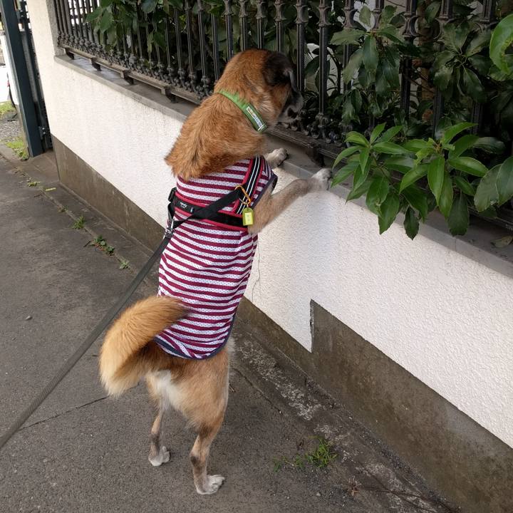 67c54794 45fa 44f0 bb49 89538c8349c1 1535671702386