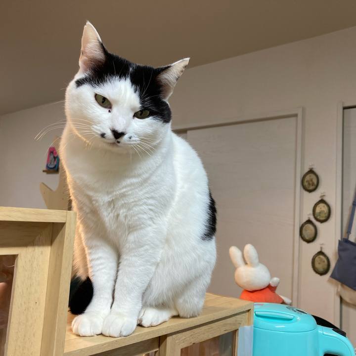 67c5a4bd bf24 4d03 86c0 7e3d1b0745f1 1769114218761