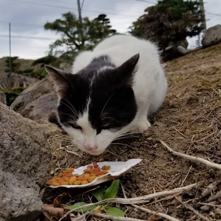 67c5d08f 3c2d 4c31 8e63 04abe5ceb26e 1620482424996