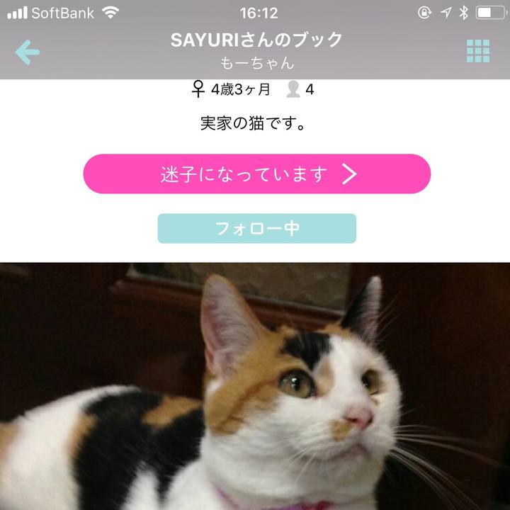 67c5e5c1 4f22 4e29 a436 cc0a8c0363d3 1509780030956