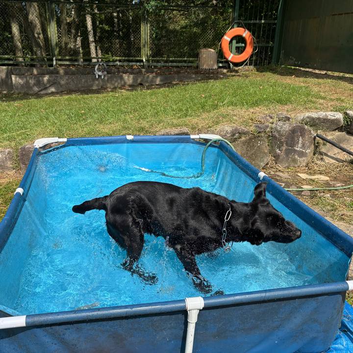 67c5f4f6 f119 48a0 a623 1d66609a9ee8 1758976858698