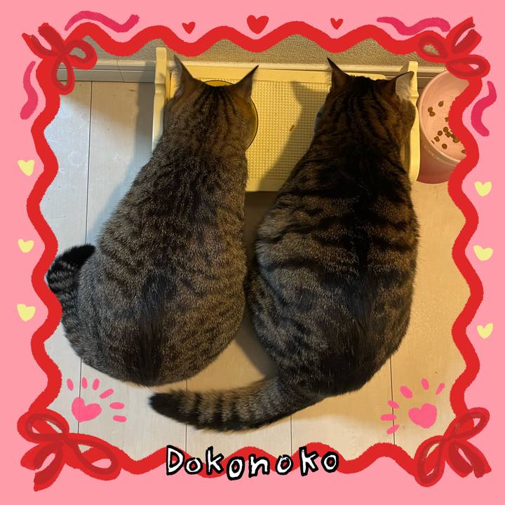 67c5fc29 8c91 4e09 bc68 c51aa37811c7 1707223380757