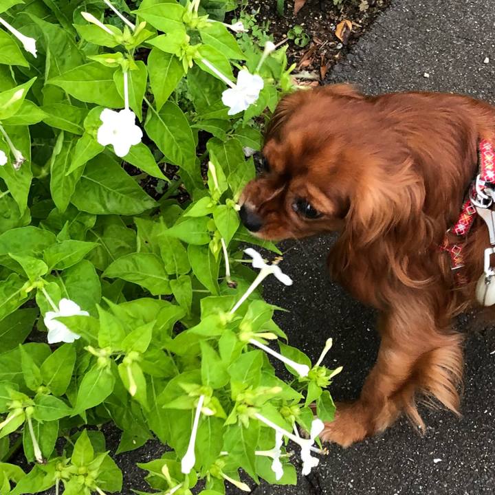 67c622a5 e5eb 4fcc bbf4 f333382f1a3e 1529586142997