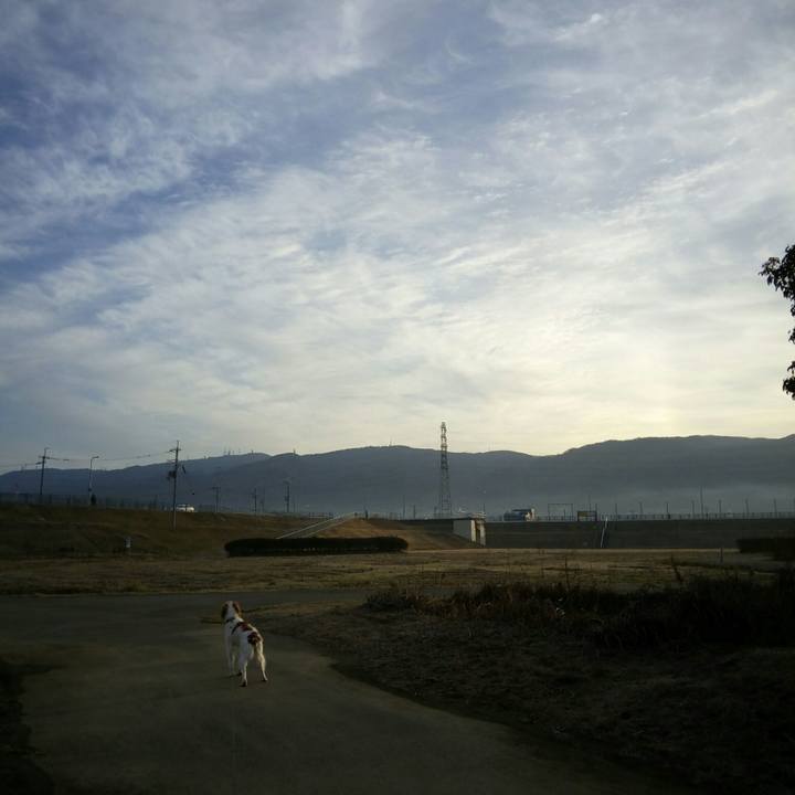 67c64085 1501 46e9 8a09 0a8d8b38a9dc 1518738778590