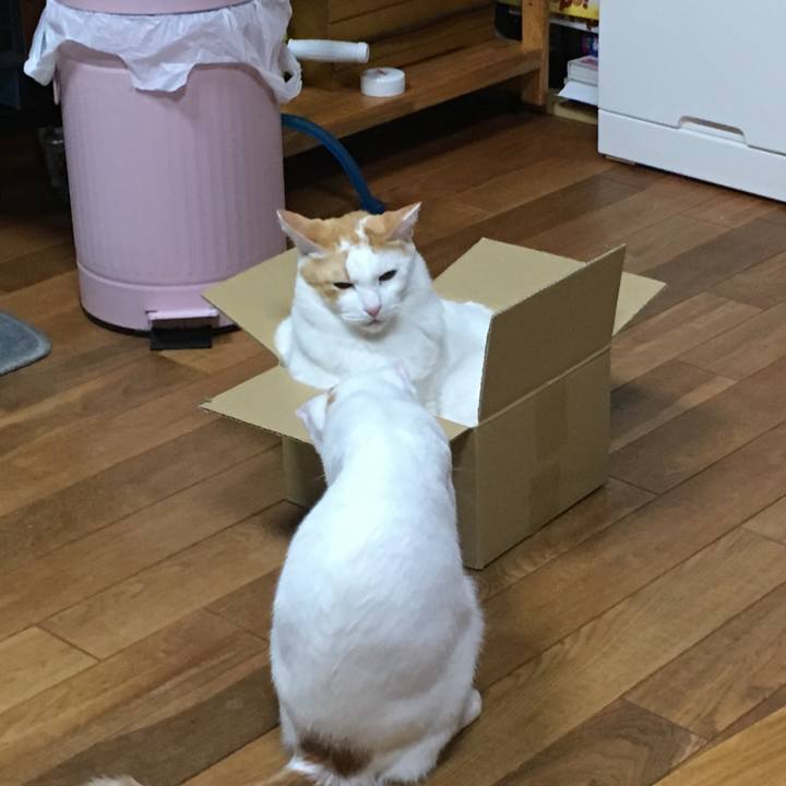 67c64c14 1929 4a65 95a0 2430850aebfa 1509027663665