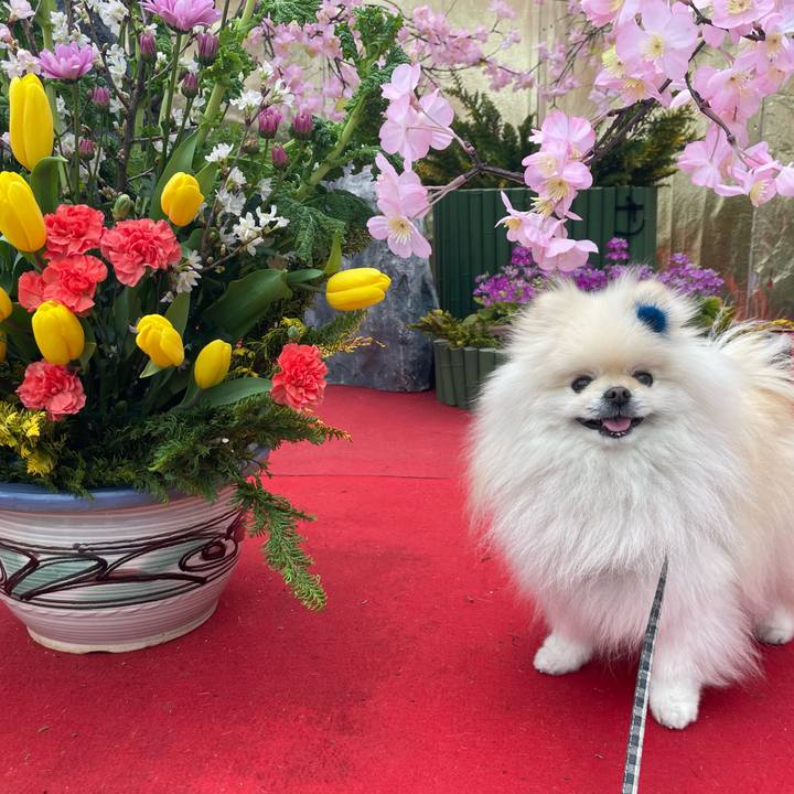 67c66861 7634 4760 8d88 b36b1c344110 1676995074622