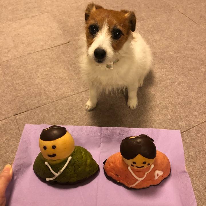 67c69bcf 3b28 438f a247 4260f6cc1f49 1583242458628