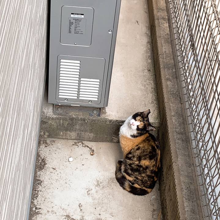 67c6bf58 93fe 43bb 991d 08a9cb69b089 1553851079775