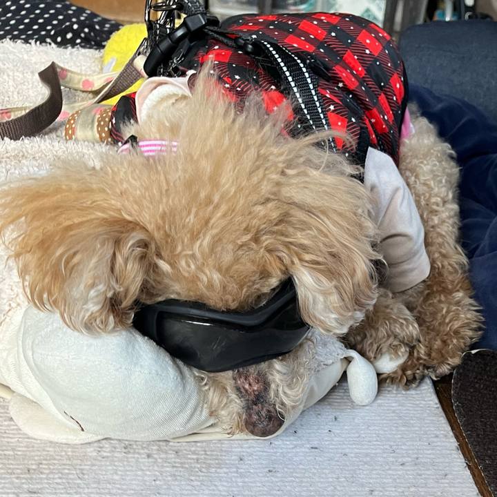 67c6e0bb 713a 46f5 801f 5ebeaa201e08 1772746084389