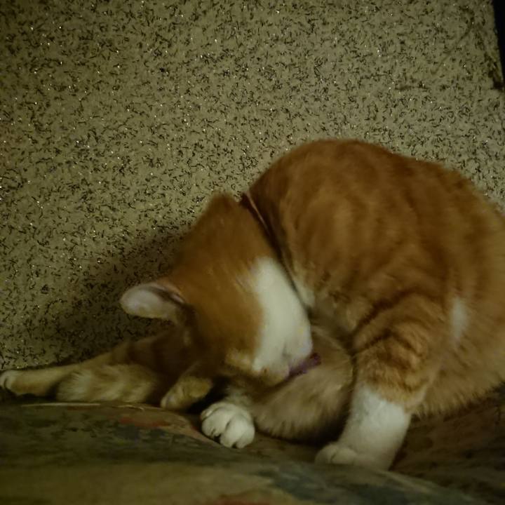 67c709ec 7b94 4a06 8098 ecbbea4a0c0d 1602846403254