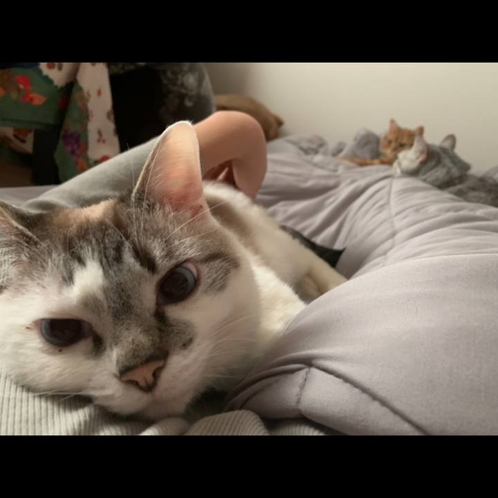 67c721ec 796e 4b78 85ae 22b0146da266 1588631453568