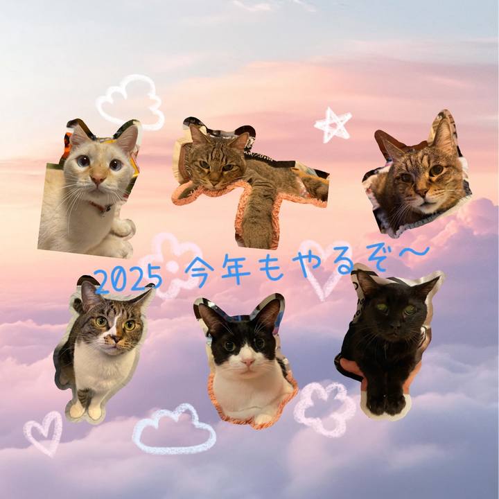 67c73a39 26ab 4fb5 91c5 fb37edf3ff7c 1735806066802