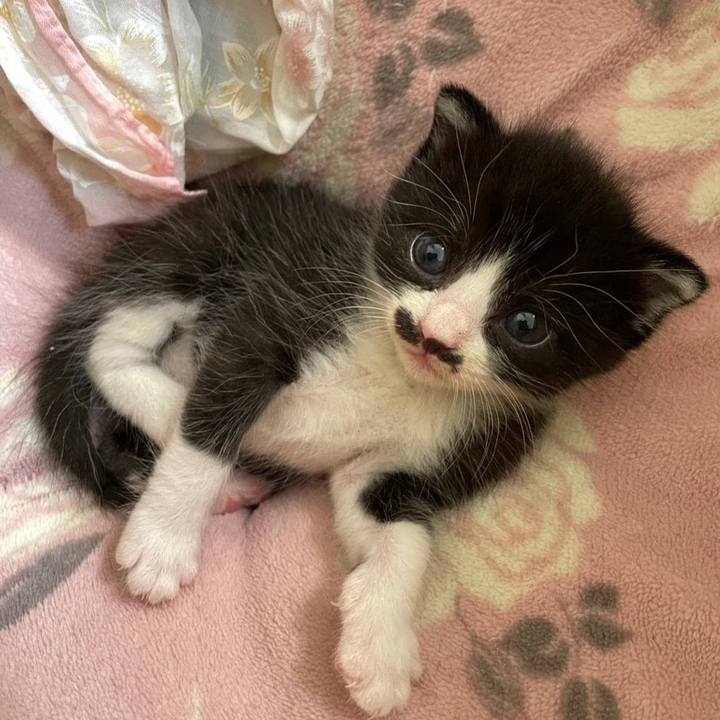 67c73d1a df6d 4500 a74f 4beeaf64f50e 1695654254706