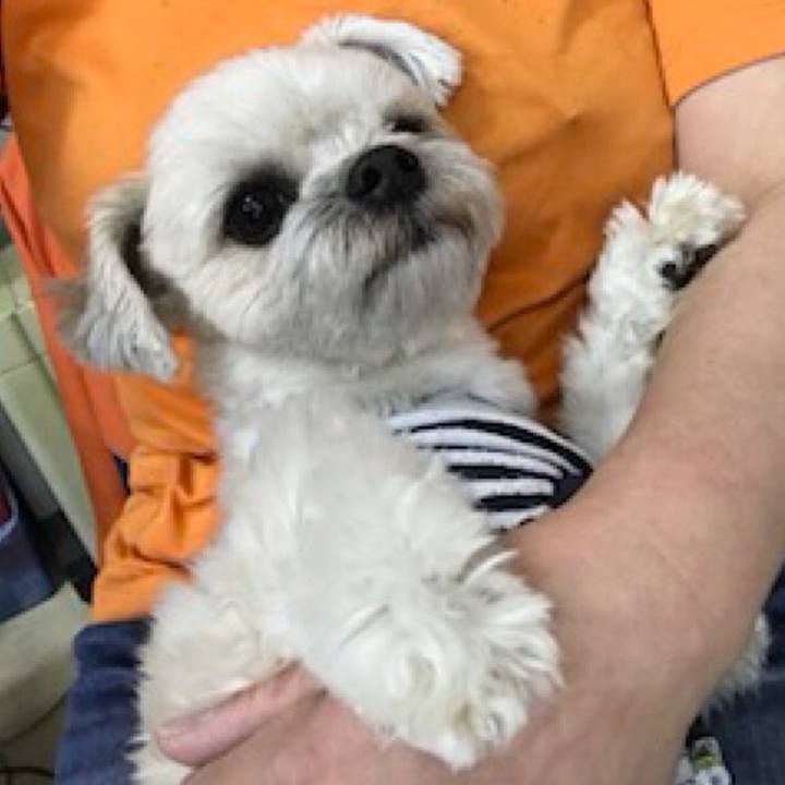 67c75a00 458b 4bf3 8102 36c2d3988593 1523624599306