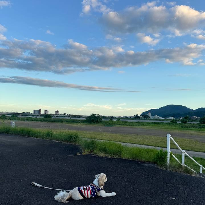 67c786f6 d84d 4cef 989b b9f066c702a6 1753439905510