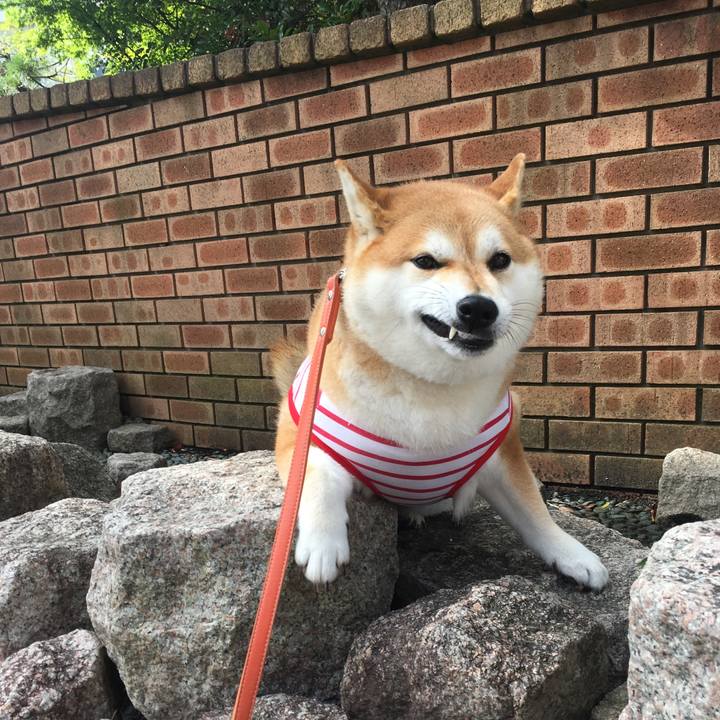 67c803cf 03dc 4583 9af3 3ff7507dab7e 1565570679680