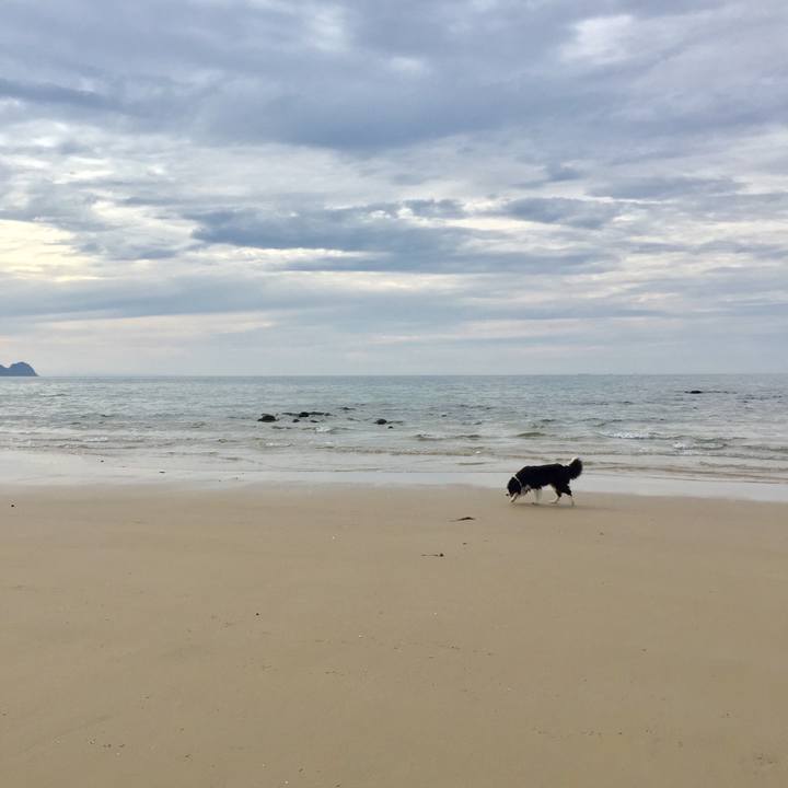 67c811c8 55dd 4cb4 b9c8 244ce36ea9d5 1569831799288