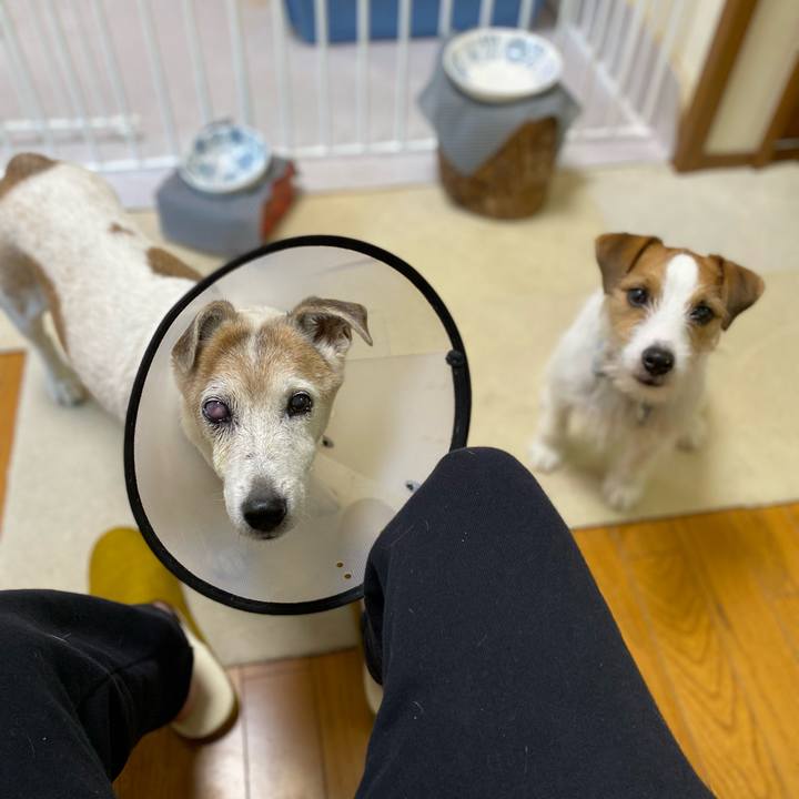 67c828b5 1d02 43f8 b8e6 1b59496ad8e9 1669243493864