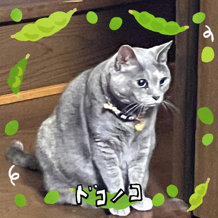 67c83985 9cd3 47e4 98dd 778ba40bc7ab 1721051357929