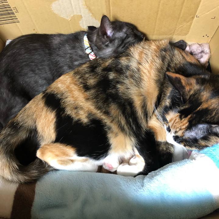 67c8b179 8c86 4a97 8d06 b4998e5e57a7 1610043533909