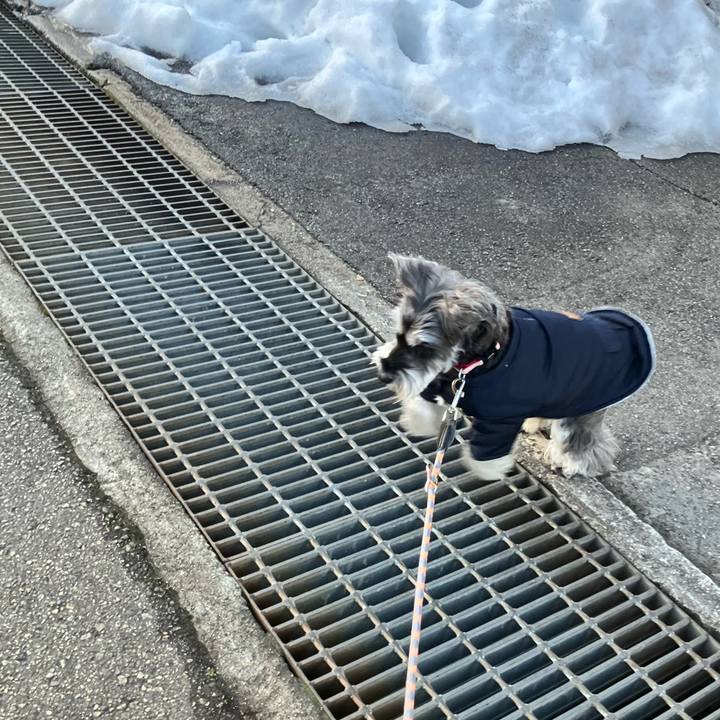 67c8cd18 0973 4ce5 a6f8 864b5ac14b33 1771624969973