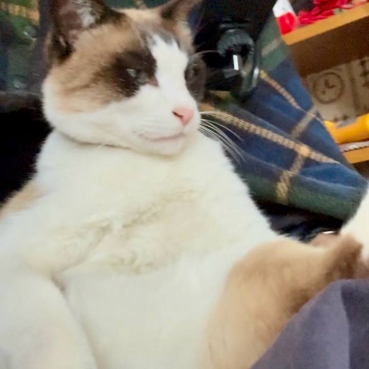 67c8da7d 0401 4e70 8707 bb905d8f1296 1774840854109