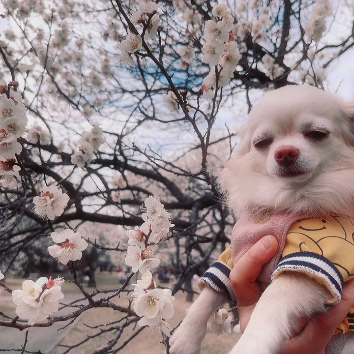 67c8df12 efca 4d2c ae33 c94bb7ec21e8 1708152562730