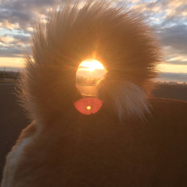 67c8e19d 0fde 45b8 96dc 5593a346ffd1 1609670784938