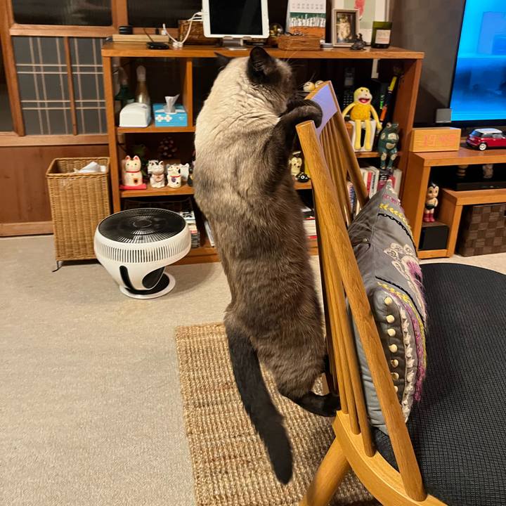 67c8e6f9 9148 4bc2 a9e7 26e126759c46 1694256761469