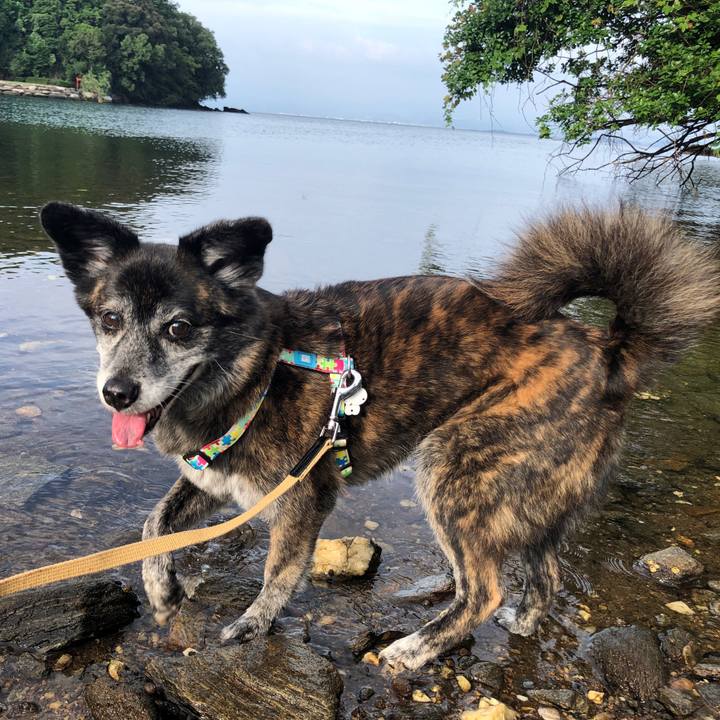 67c94aa8 7946 41f2 a25a 2d85de0afc68 1690203839764