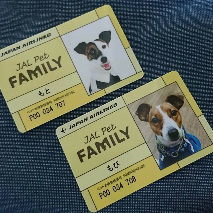 67c9821c 7799 4ec2 8200 e53e8c9c7b84 1568935077899