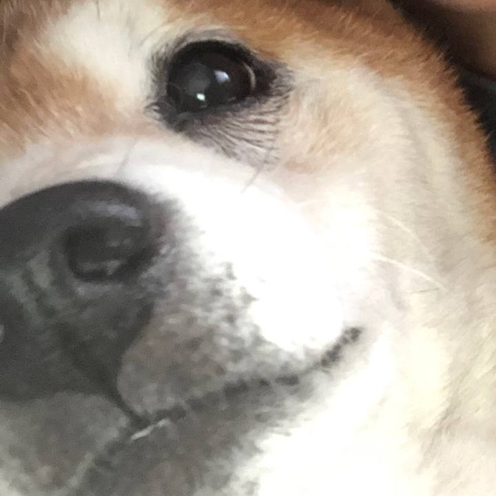 67c9c286 aa04 4336 a4a9 f795dbef321d 1602409665278