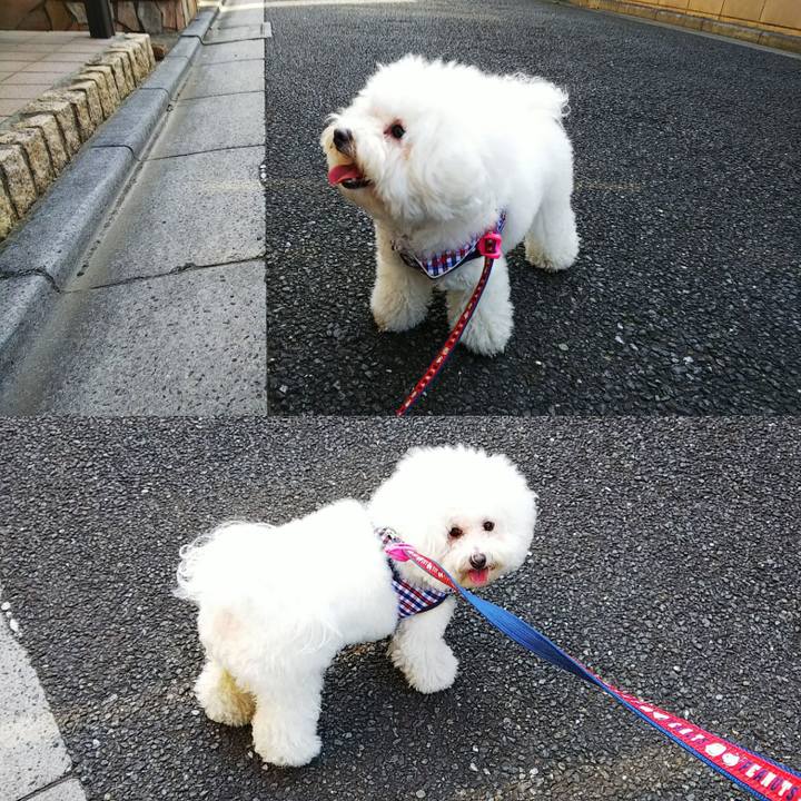 67ca2201 955c 42a2 9af9 d8089186690f 1541908945227