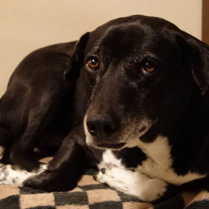 67ca27f4 eac2 424a a02d cff7a027a5b7 1740740958975