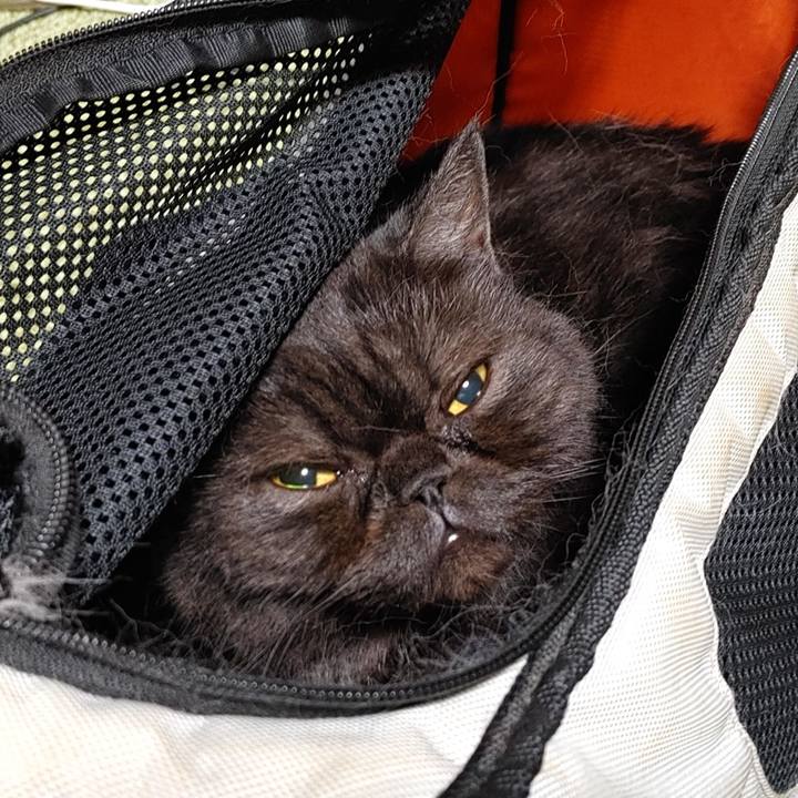 67ca470e f908 4ff0 b750 c3e4b5e4a8c9 1721763481732