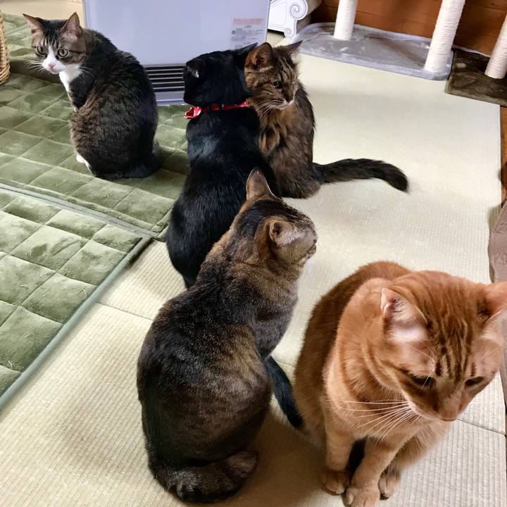 67ca4f61 8f62 4370 971c 3bf8adfe853a 1518523367865