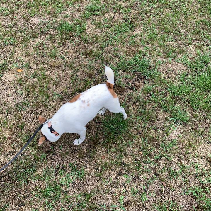 67ca5282 d6f5 4cf6 9c95 7d3f00e47c5e 1599124004565