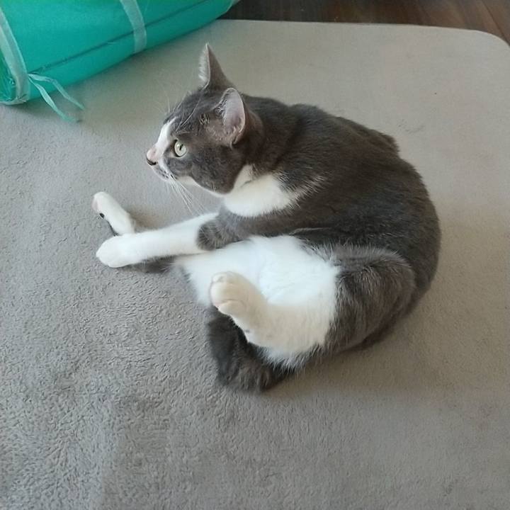 67ca6a4d 8969 4493 84e7 f4bf64d9d2fb 1628132037707