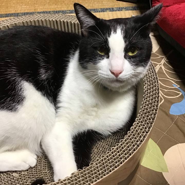 67cac9f8 9d93 4f2f 8c55 0c928b49be82 1697029112224