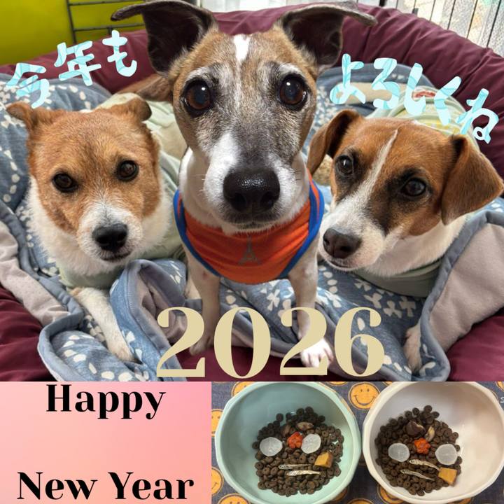 67caf56a 8cca 4c1b a838 14bb51da64fb 1767489774913