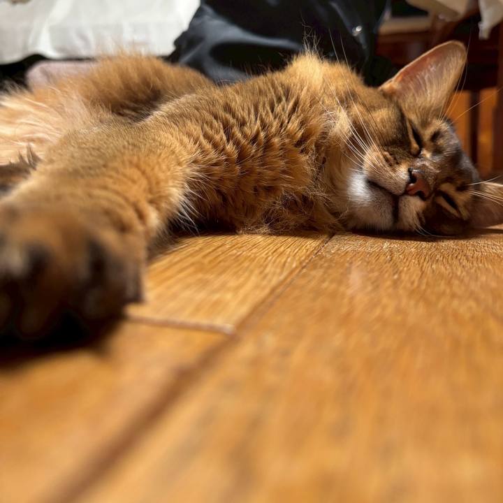 67cb653f df57 47ed a07d b536cd40f329 1754131501145