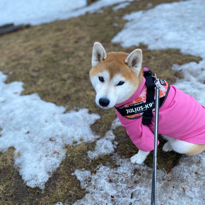 67cb6651 92d2 4e5e abed 7410ec3b0897 1616324790462