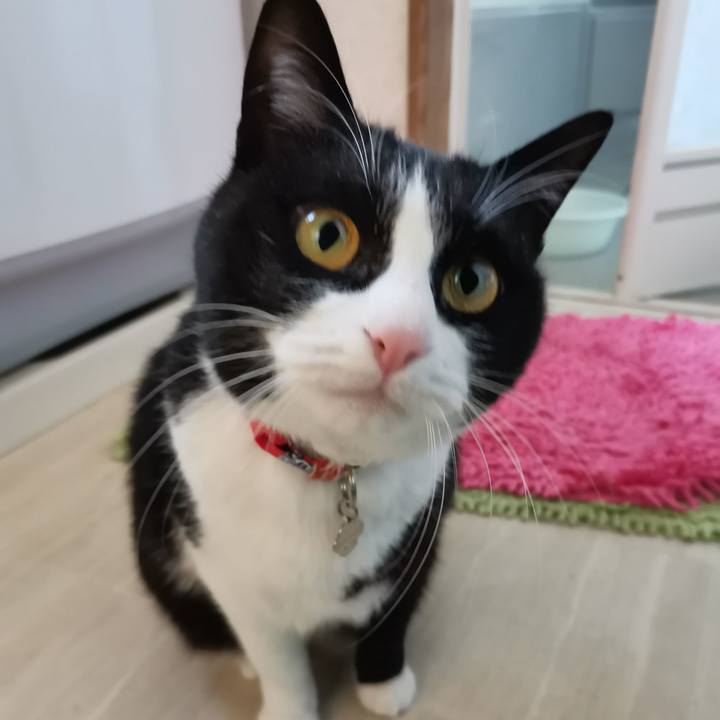 67cb6890 f29d 46bd b1d1 e7b0a12bc2b9 1609251927359