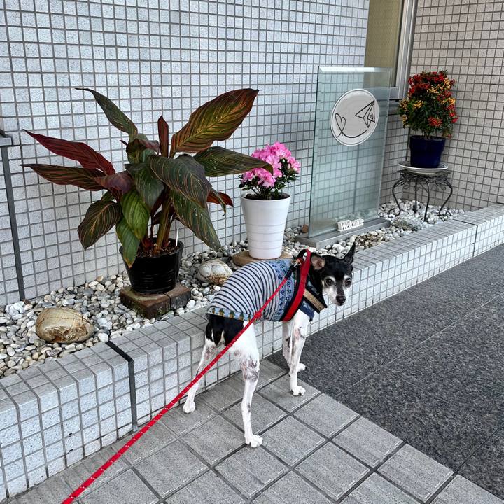 67cb6b17 76e8 4c03 a2da 26498c3ed4cf 1635463156066