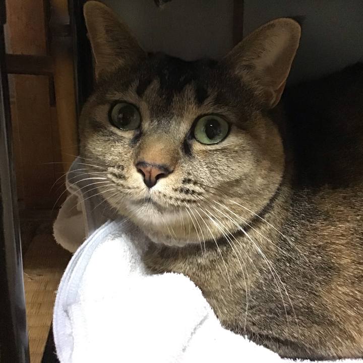 67cb7f4a 02e4 4d15 bb15 863307bcaad6 1674047471664