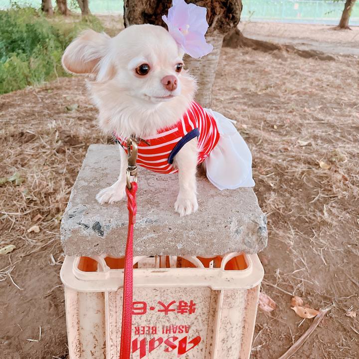 67cb996f 2fed 472f b3e2 2f296e4bfd2c 1656907229695