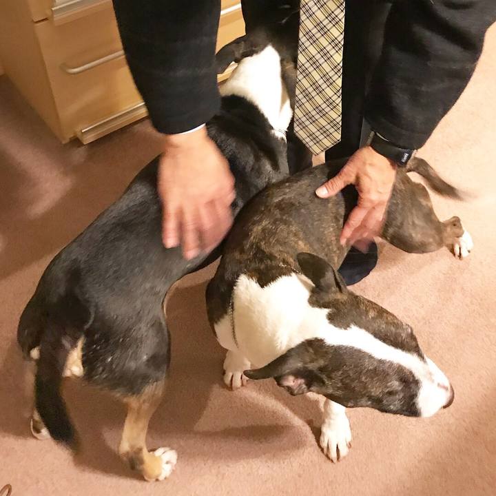 67cba07f 382b 49a3 96b2 23e62a346b67 1512647431360